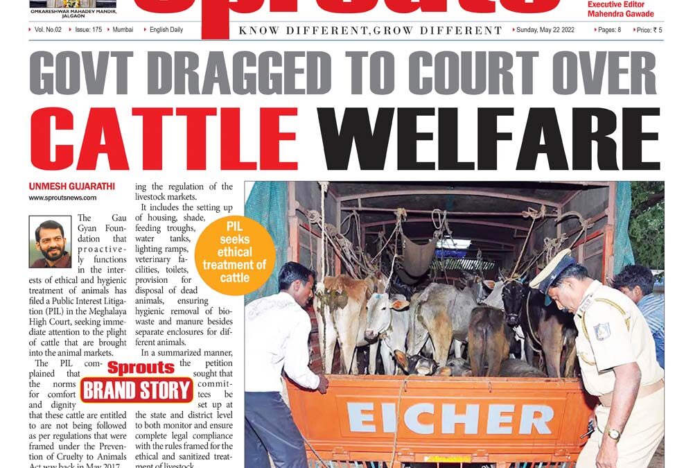 Govt dragged to court over cattle welfare
