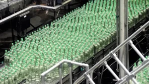 Carlsberg India IPO Gets SEBI Clearance