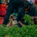 India Inflation Jumps to 5.54% in September